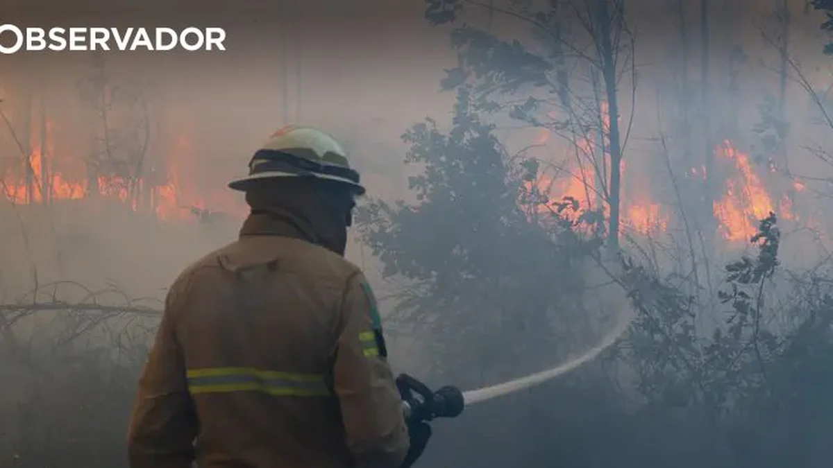 Suspect of Four Fires in Coimbra Arrested by PJ