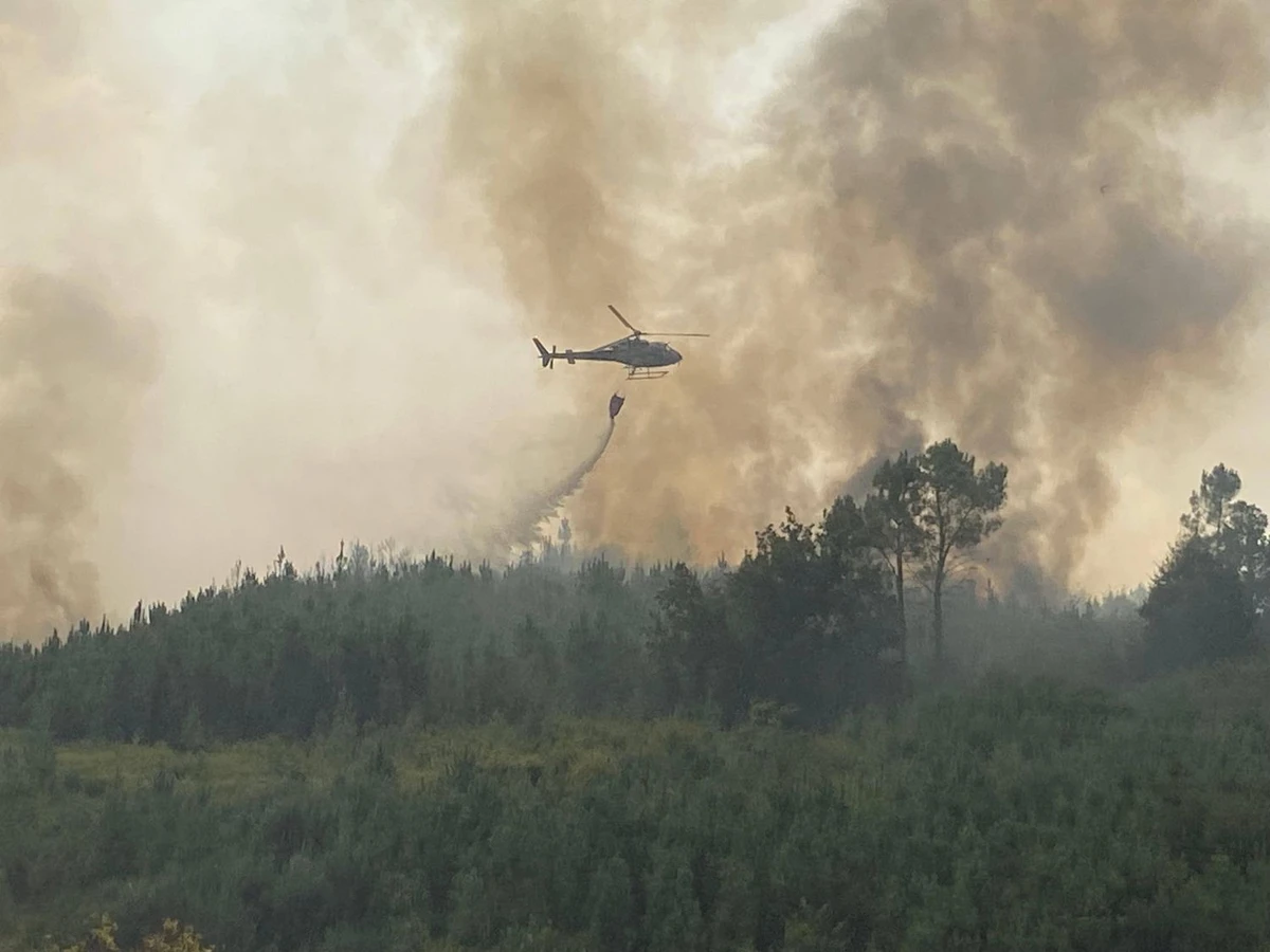 Image accompanying the news report.